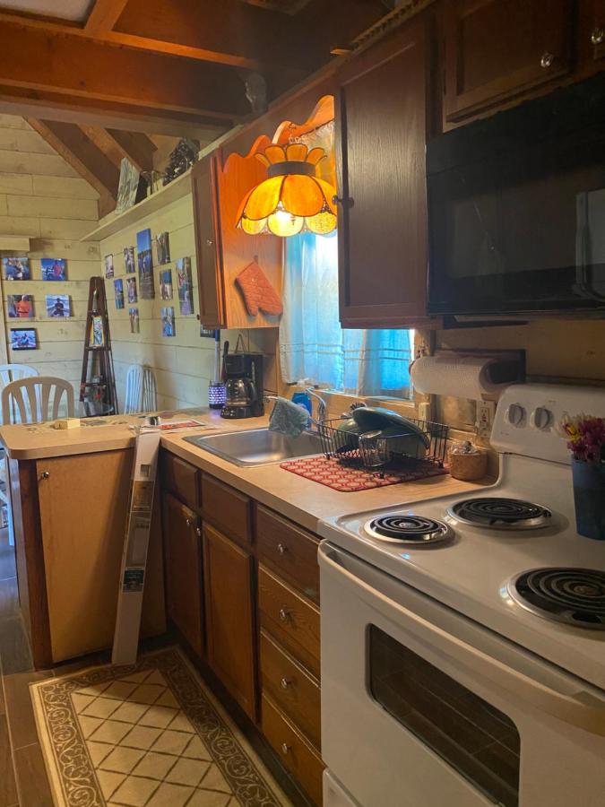 Log Harbor Cabins Okeechobee Dış mekan fotoğraf